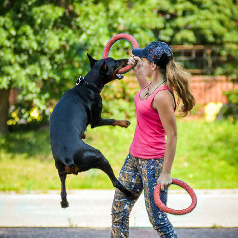 Dog Flying Discs Pet Training Ring Interactive Training Dog Toy Portable Outdoors Large Dog Toys Pet Products Motion Tools