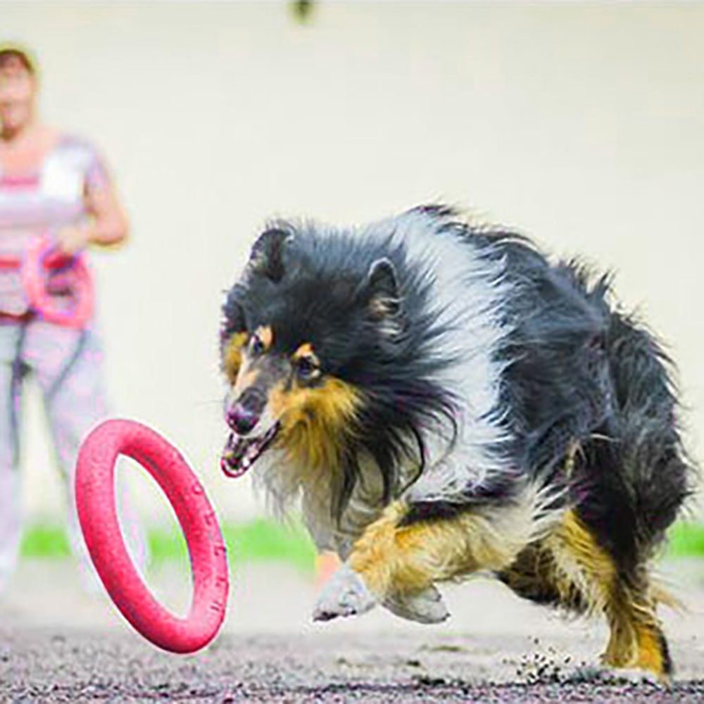 Dog Flying Discs Pet Training Ring Interactive Training Dog Toy Portable Outdoors Large Dog Toys Pet Products Motion Tools